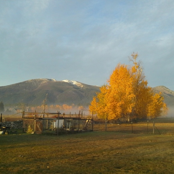 SAVE On Shipping By Bundling - Picture 2 of 3